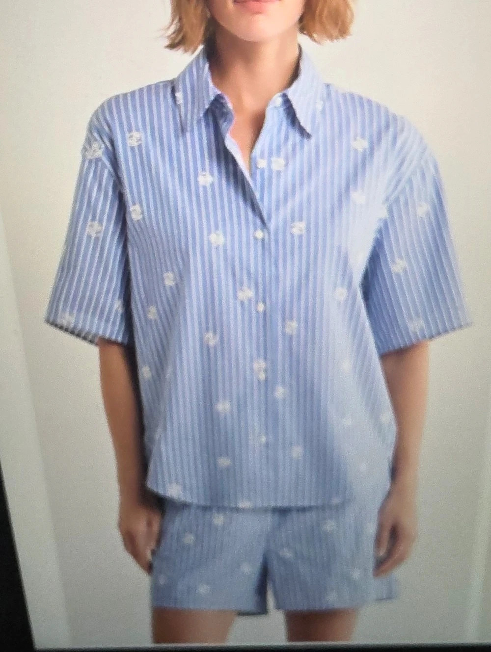 Rag & Bone Ella Oversize Embroidered Cotton Shirt Blue & White Medium